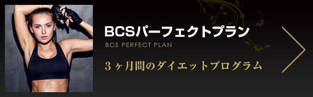 BCSパーフェクトプラン